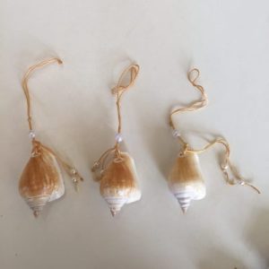 Shells Bookmarks(Strombus Turritella)