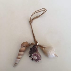 Shells Bookmarks(3 in 1)Set A