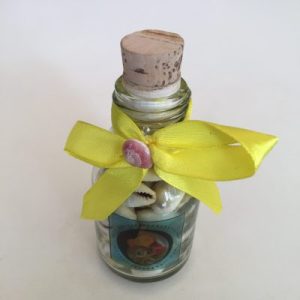 Seashells in Bottle (Cyp Annulus)