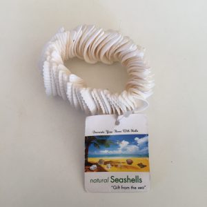 Shells Bracelet  (Anadara)