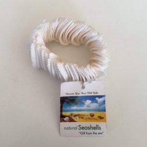 Shells Bracelet(Clams Anadara)White