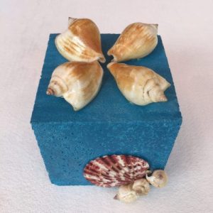 Posted on 3 Nov2018 for rm15.00