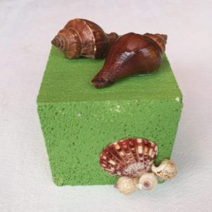 Posted on 3 Nov2018 for rm15.00