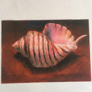 Poster Drawing (Opeastoma Pseusodon)183