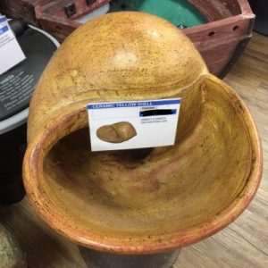 Giant Ceramic Yellow Shells(Snail)25”