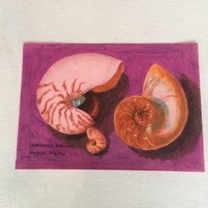 Poster Drawing (Nautilus)377