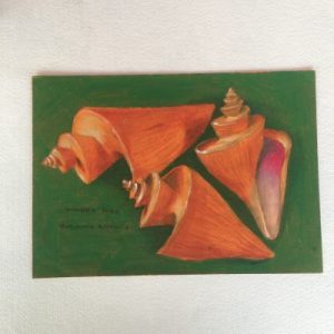 Poster Drawing (Thatcheria Mirabilis)243