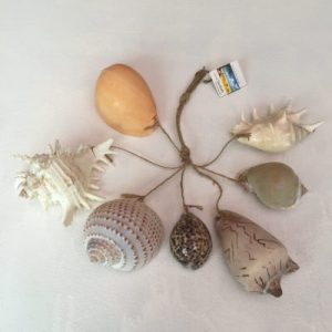 Weight:Approx.900grams