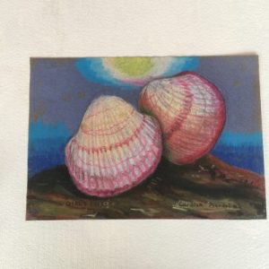 Poster Drawing (Cardium Pseudolima)332