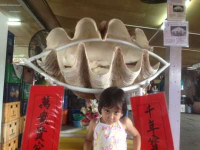 Giant Clams (Tridacna Gigas)Memories (May2013)