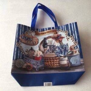 SI Seashells Bag(Beach & Love)14”x13”