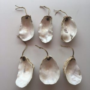 Seashell Oyster Craft(Hanger)4-6”