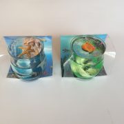 Shells Gel Wax Candles(Blue/Green)