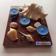 Seashells unique shaped tealight candle with luxury highly Scented Candles ;Blue Sea breeze .