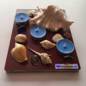 Seashells unique shaped tealight candle with luxury highly Scented Candles ;Blue Sea breeze .