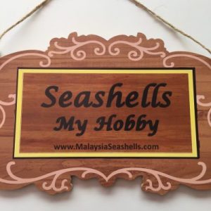 Signage Board(SEASHELLS)13”x8”