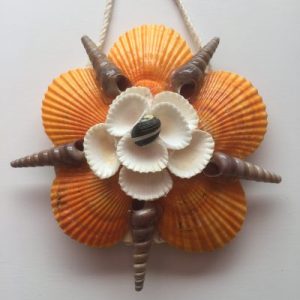 Seashells Star Art(Scallops)C