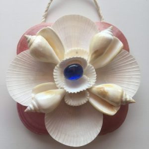 Seashells Star Art(Scallops)B
