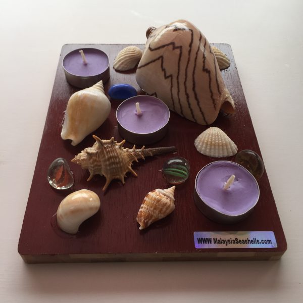Seashells unique shaped tealight candle with luxury highly Scented Candles ;Purple Lavender .