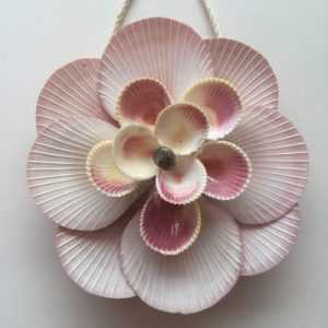 Seashells Star Art(Scallops)A