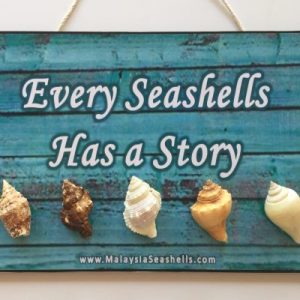 Inspiration Decorative Board @ Every Seashells (10”x14”)
