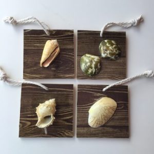 Seashells On Woods(Set of 4) A