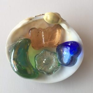 Seashell Multicolor Stone Pebbles