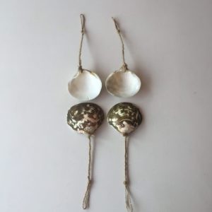 Seashell Clams Geloina (Craft :Hanger)2-3”(352)