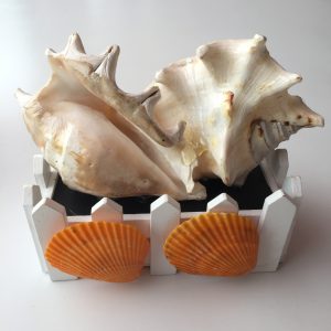 Size :Shells 4-5”,Fence L6.25xW3.25”,H2.75”,Weight Approx 500-600grams