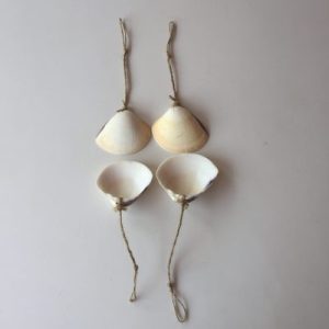 Seashell Clams Meretrix(Craft :Hanger)2-3”(293)