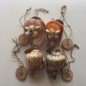 Posted on 6 Aug2019 rm40.00