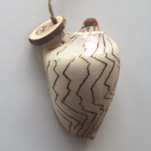 Seashells Voluta Nobilis(Hanger)4-6”