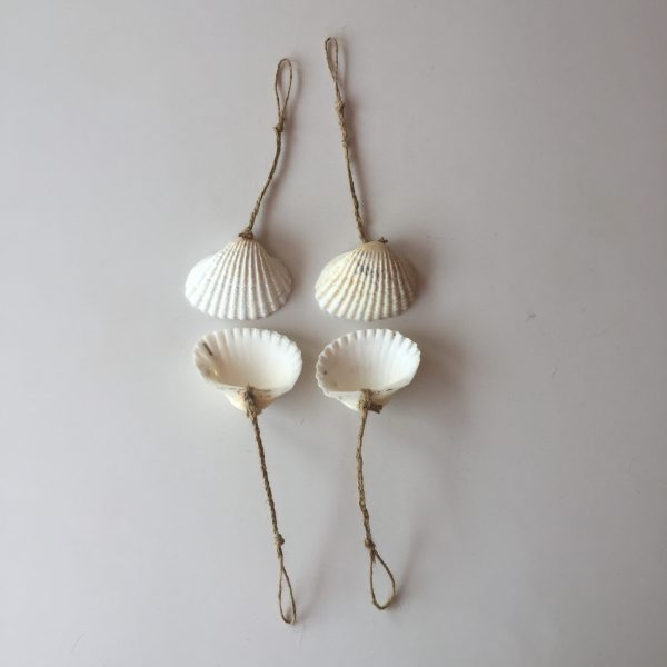 Size :2-3”Shells,String Length 6”,Weight:Approx.50grams each