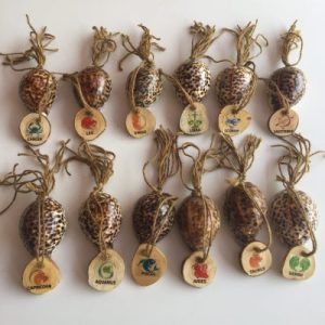 Zodiac Cowrie Shells (SET OF 12)97
