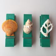 Size :Shells 2-3”,Length 12cmx Width 3cm,Height 2cm”,Weight Approx 100grams each