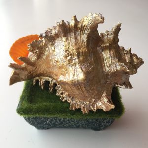 Size :Shells 4-5”,Base 4x2”,Height 5”,Width 5”,Weight Approx 250grams