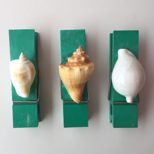 Size :Shells 2-3”,Length 12cmx Width 3cm,Height 2cm”,Weight Approx 100grams each