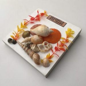 Seashells Box Frame Strombus(7x7”)