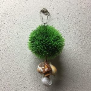 Posted on 27jan2021 rm15.00