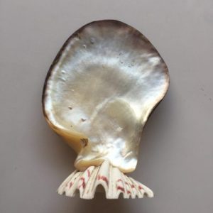 Mother of Pearl Display (D/Green)