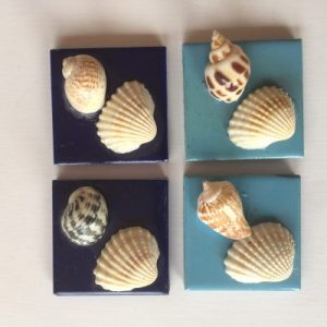 Seashells Stone Magnet D 1.8x1.8”(Set of 4)