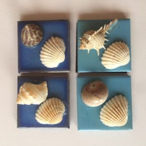 Seashells Stone Magnet C 1.8x1.8”(Set of 4)