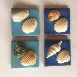 Seashells Stone Magnet A 1.8x1.8”(Set of 4)