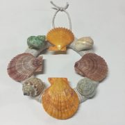 Diameter 5.5”,Shells 1-3”,weight 100grams