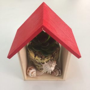 Seashells Red Roof Airplant