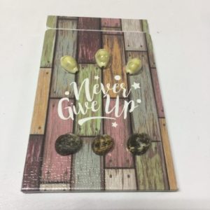 Seashells Mirror (Pocket) 4”x 8”