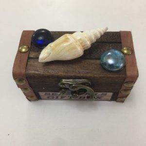 Seashells Mini Box(4”x2”)Strombus