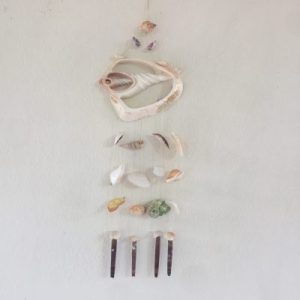 Windchimes M Cut Voluta Nobilis(20")