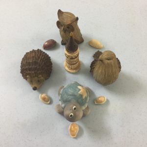 Seashells Novelties/Game