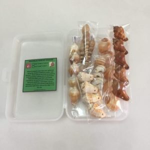 Posted 24Nov2020 SP rm25.00